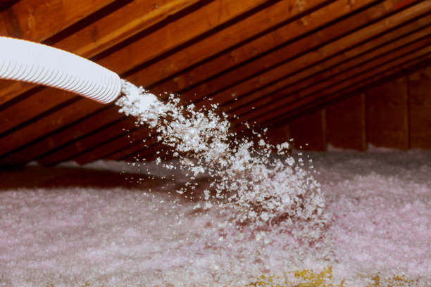 Best Specialized Insulation Services in Killian, LA