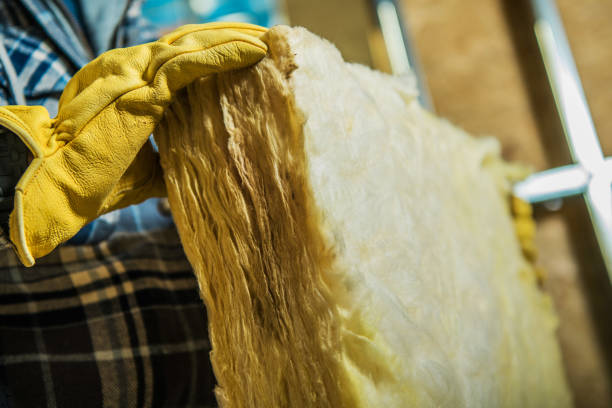 Trusted Killian, LA Insulation Contractor Experts