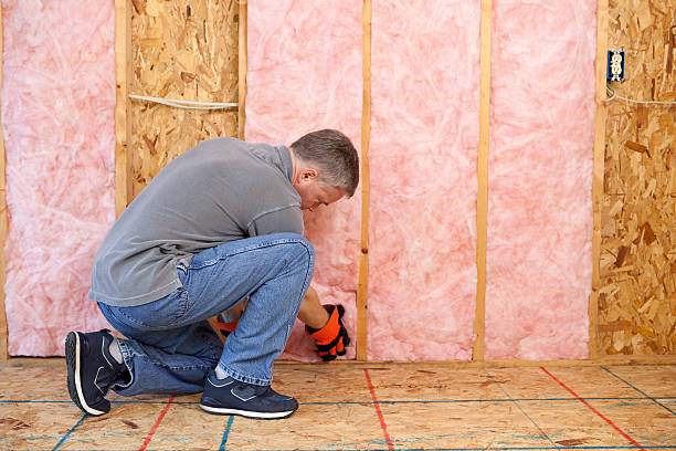 Best Spray Foam Insulation in Killian, LA